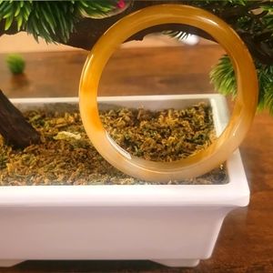 Yellow Quartz Jade Bangle